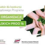 Narodowy Instytut Wolności – Centrum Rozwoju Społeczeństwa Obywatelskiego ogłosił nabór wniosków w ramach PROO – Priorytet 1b.